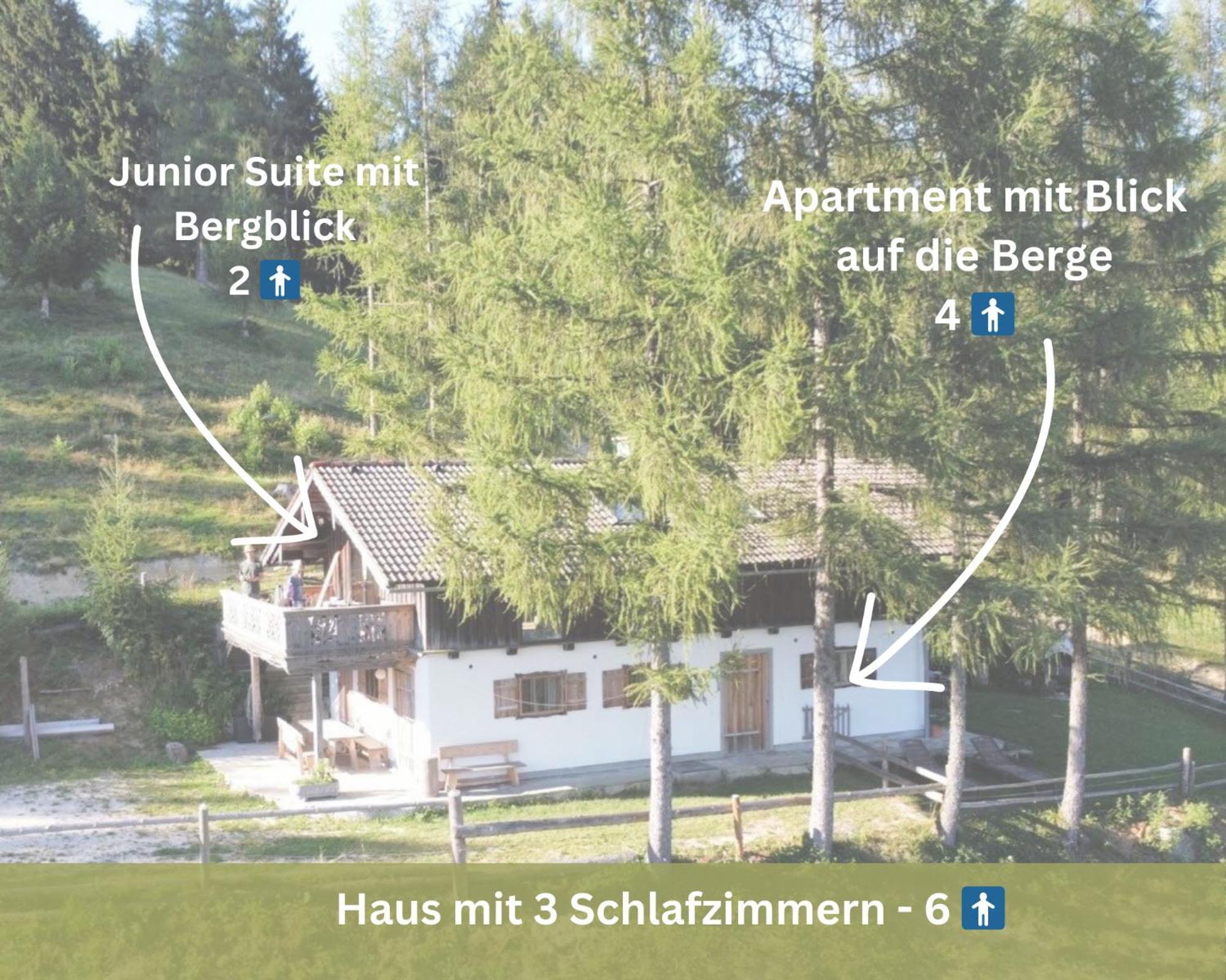 Kreitalm - Kraftplatz Im Salzkammergut Neukirchen  Kültér fotó